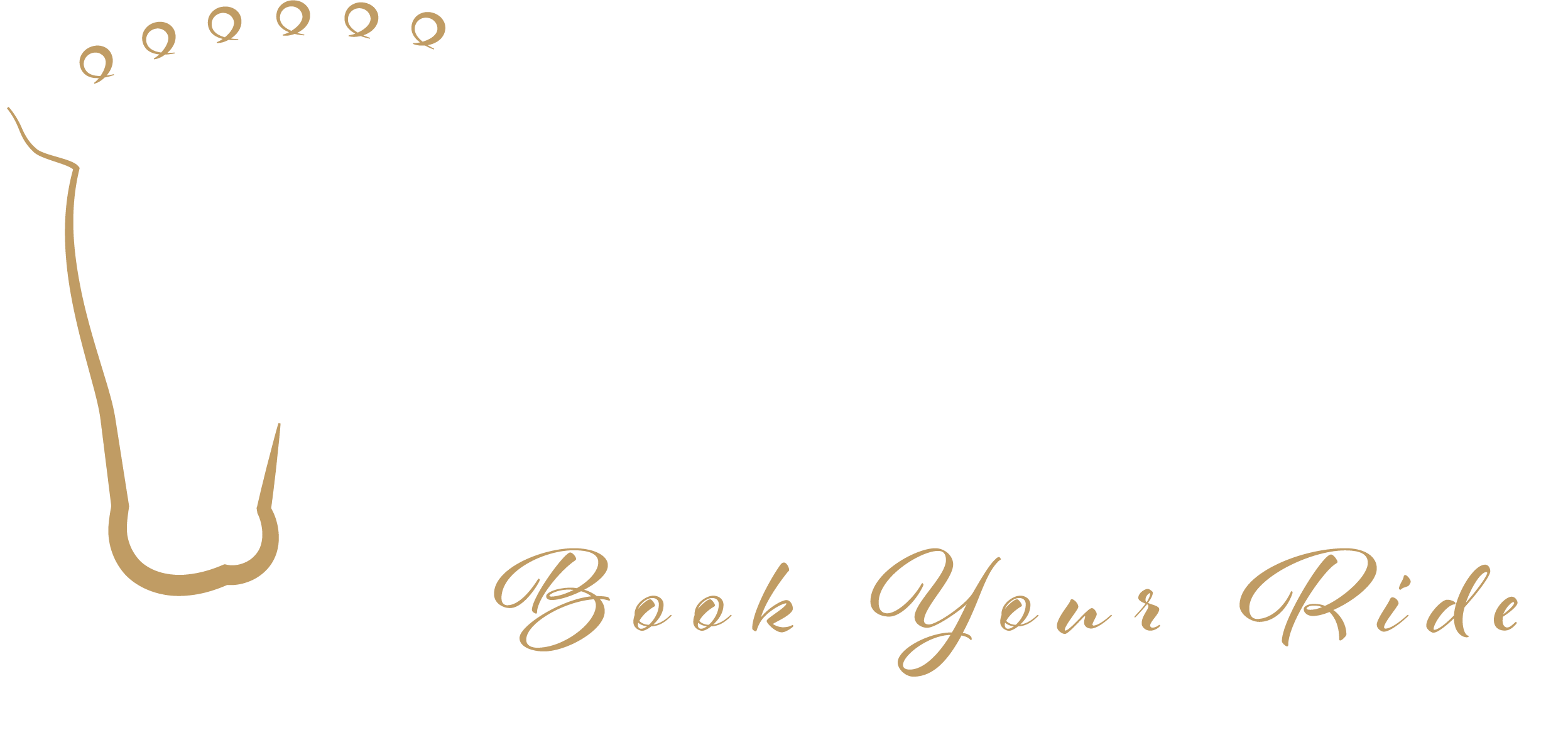 The Equestrian Diary