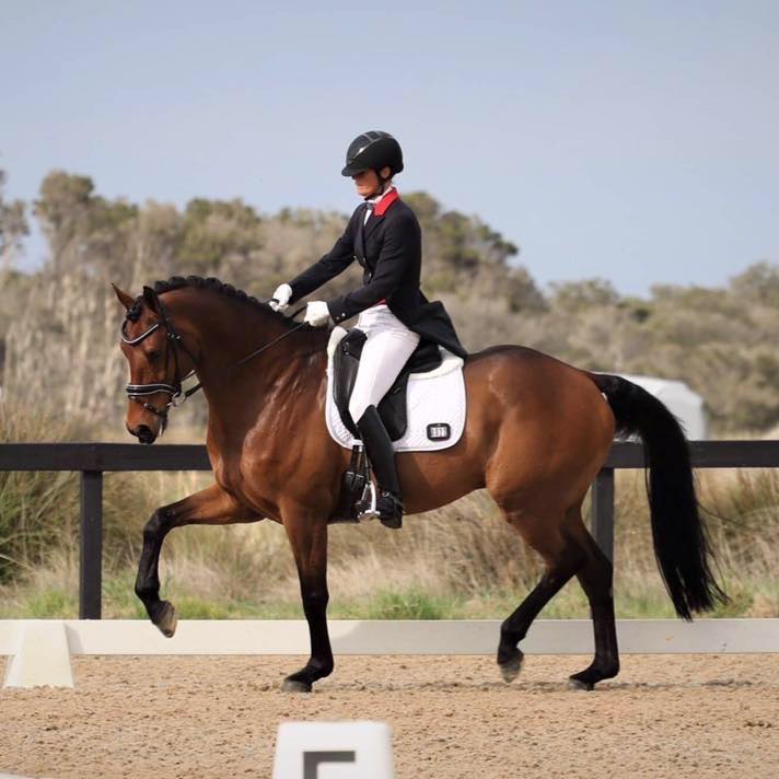 Cynthia Bossema Dressage