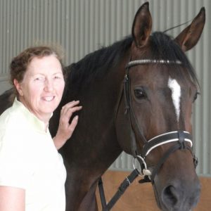 Chandler Equestrian Services – Sue Chandler