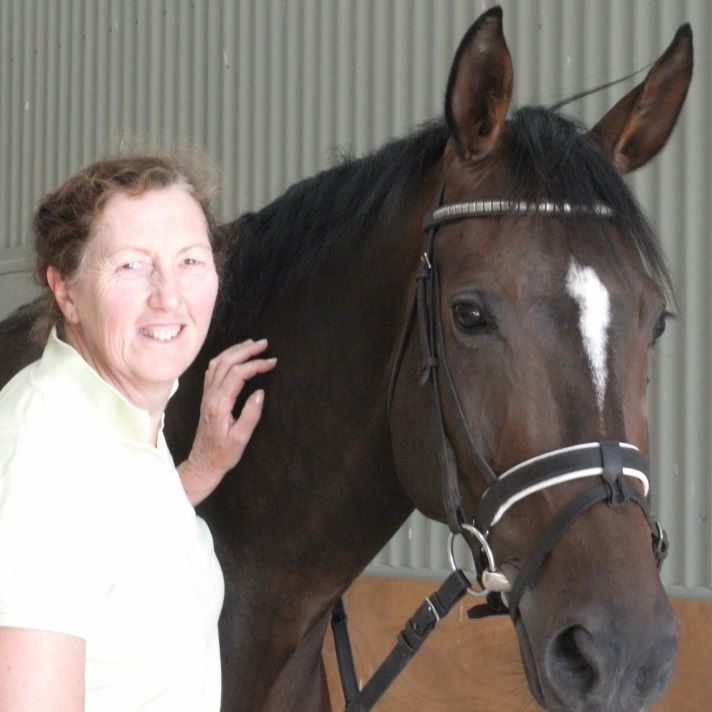 Chandler Equestrian Services – Sue Chandler