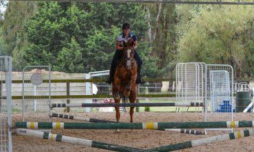 Showjumping lessons with Murray Lamperd at Oakwood Riding School (Saturday 12th July)