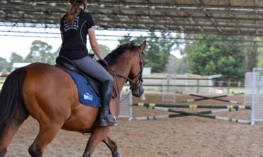 Showjumping Lessons with Murray Lamperd at Oakwood Riding School (Saturday 16th August)