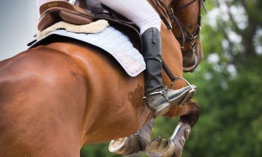 Showjumping Lessons with Adam Wootten at Foxden Equestrian Centre (Saturday 26th July)