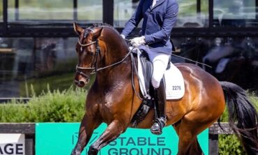 Dressage Lessons with David Boyle at Springfield Equestrian Park – Saturday 25th January